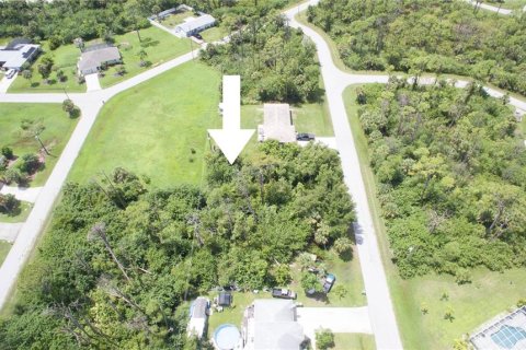 Land in Port Charlotte, Florida № 2164218 - photo 6