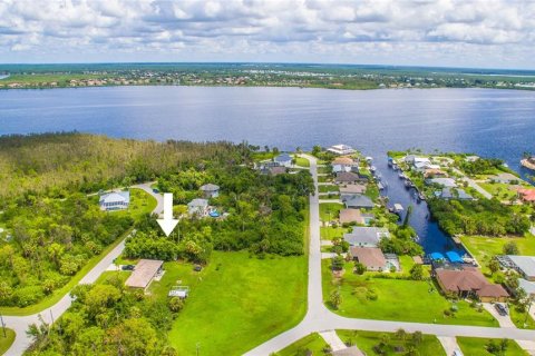 Land in Port Charlotte, Florida № 2164218 - photo 5