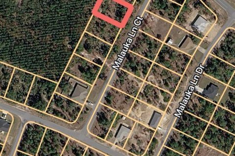 Land in Ocklawaha, Florida № 2163869 - photo 2