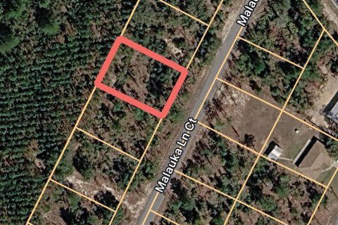Land in Ocklawaha, Florida № 2163869