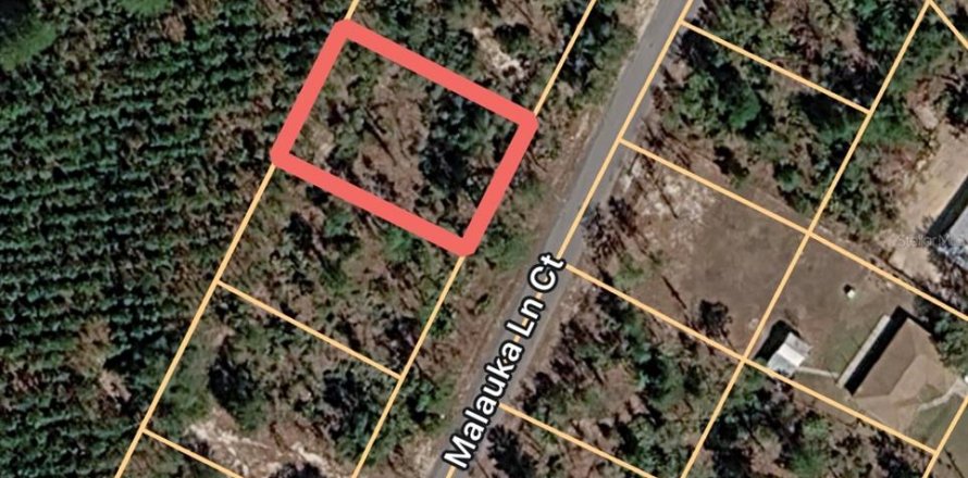 Land in Ocklawaha, Florida № 2163869