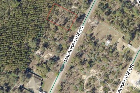 Land in Ocklawaha, Florida № 2163869 - photo 4