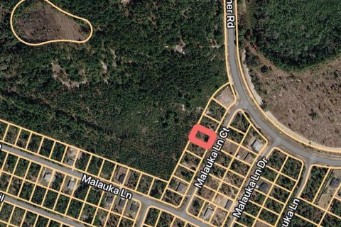 Land in Ocklawaha, Florida № 2163869 - photo 3
