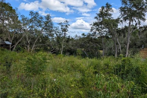 Terrain à vendre à Ocklawaha, Floride № 1906730 - photo 21