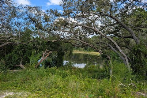 Terrain à vendre à Ocklawaha, Floride № 1906730 - photo 5