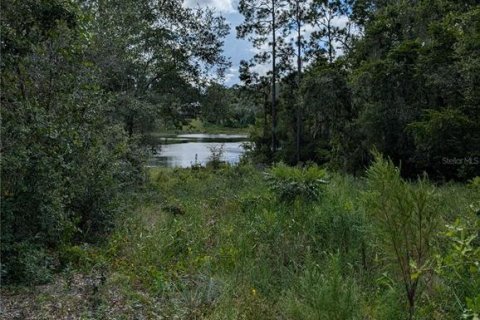 Terrain à vendre à Ocklawaha, Floride № 1906730 - photo 20