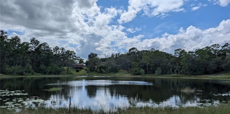 Terrain à Ocklawaha, Floride № 1906730