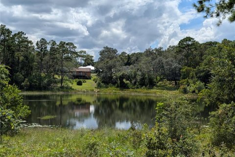 Terrain à vendre à Ocklawaha, Floride № 1906730 - photo 16