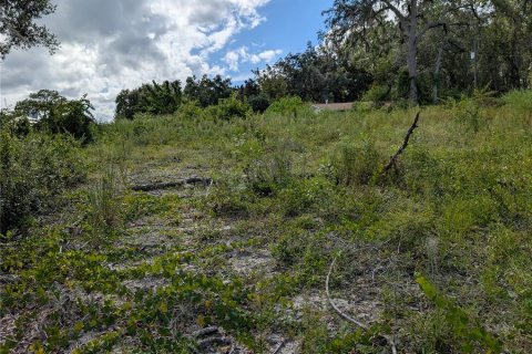 Terrain à vendre à Ocklawaha, Floride № 1906730 - photo 11