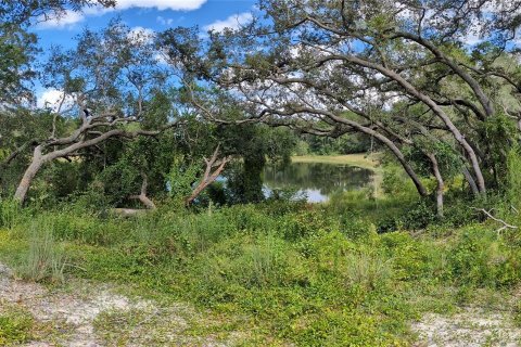 Terrain à vendre à Ocklawaha, Floride № 1906730 - photo 15