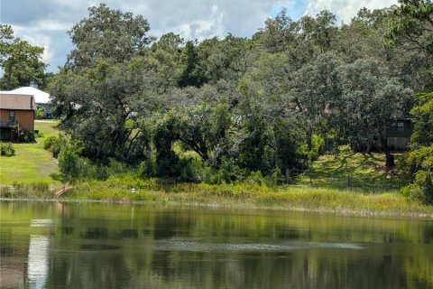 Terrain à vendre à Ocklawaha, Floride № 1906730 - photo 18