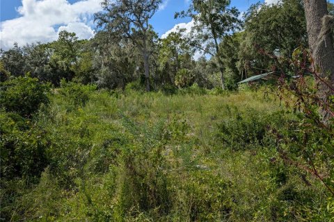 Terrain à vendre à Ocklawaha, Floride № 1906730 - photo 10