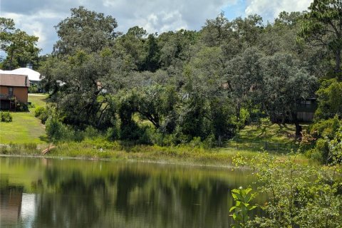 Terrain à vendre à Ocklawaha, Floride № 1906730 - photo 17