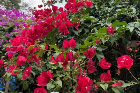 House in Hollywood, Florida 2 bedrooms, 91.51 sq.m. № 1958645 - photo 14