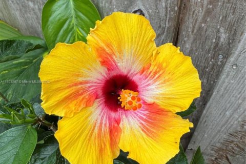 House in Hollywood, Florida 2 bedrooms, 91.51 sq.m. № 1958645 - photo 13