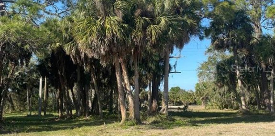 Terrain à Rotonda, Floride № 2228948