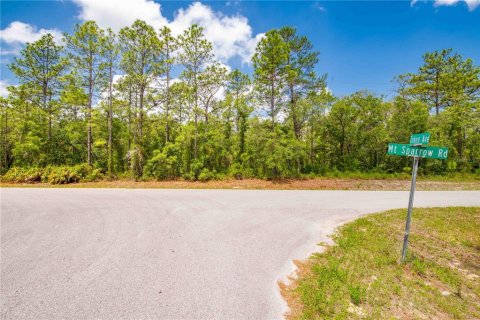 Terreno en venta en Weeki Wachee, Florida № 1747303 - foto 5