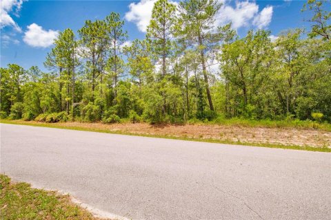 Terreno en venta en Weeki Wachee, Florida № 1747303 - foto 3