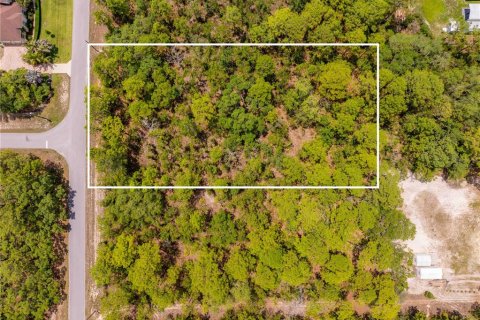 Terreno en venta en Weeki Wachee, Florida № 1747303 - foto 8