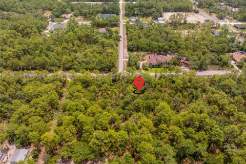 Terreno en venta en Weeki Wachee, Florida № 1747303 - foto 7