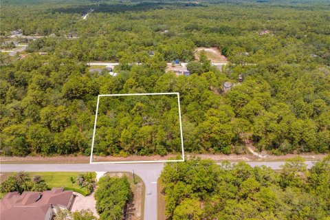 Terreno en venta en Weeki Wachee, Florida № 1747303 - foto 12