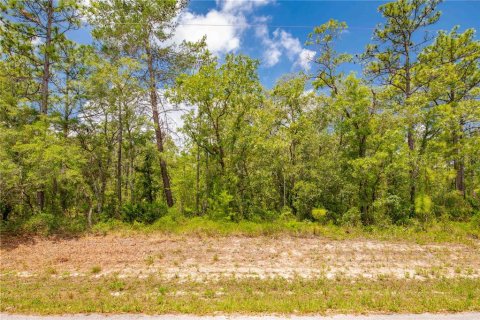 Terreno en venta en Weeki Wachee, Florida № 1747303 - foto 1