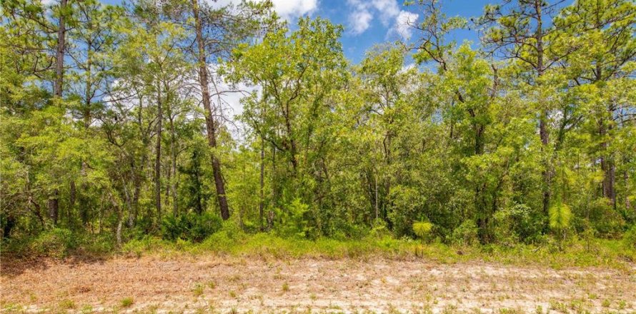 Terreno en Weeki Wachee, Florida № 1747303