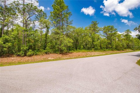 Terreno en venta en Weeki Wachee, Florida № 1747303 - foto 4