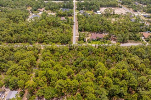 Terreno en venta en Weeki Wachee, Florida № 1747303 - foto 6