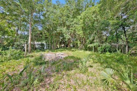 Land in Orlando, Florida № 2209350 - photo 3