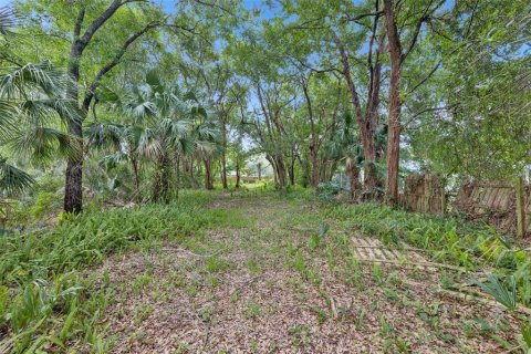Land in Orlando, Florida № 2209350 - photo 6
