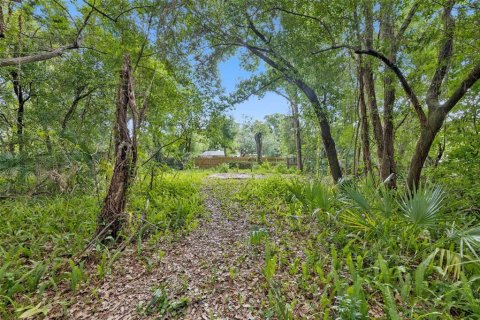 Land in Orlando, Florida № 2209350 - photo 4