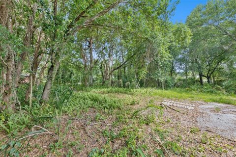 Land in Orlando, Florida № 2209350 - photo 9