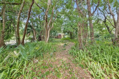 Land in Orlando, Florida № 2209350 - photo 5