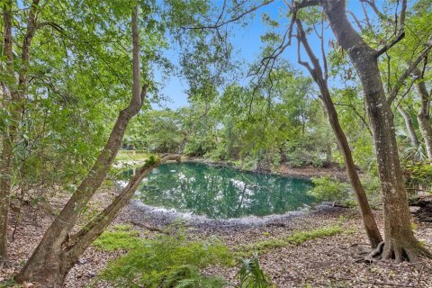 Land in Orlando, Florida № 2209350 - photo 2