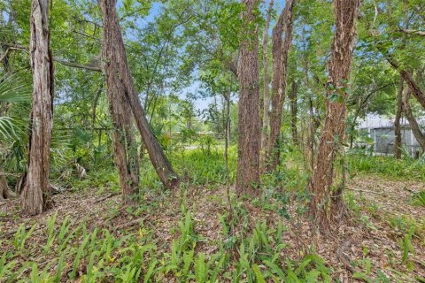 Land in Orlando, Florida № 2209350 - photo 10