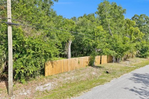 Land in Orlando, Florida № 2209350 - photo 12