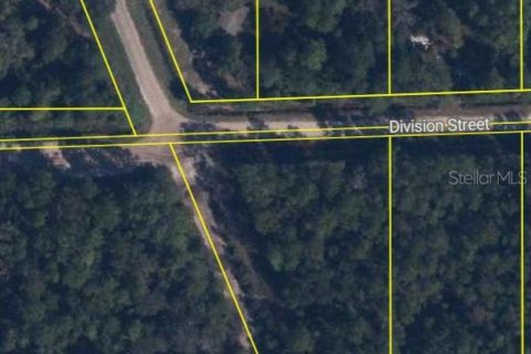 Terreno en Hastings, Florida № 2195847