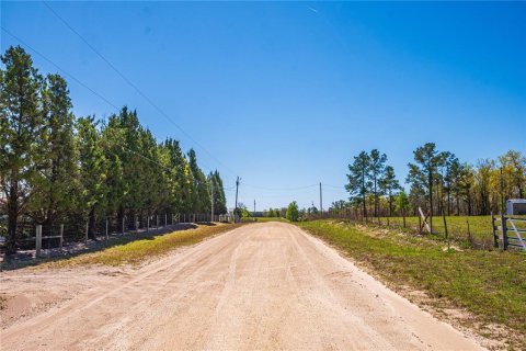Land in Bronson, Florida № 1886142 - photo 7
