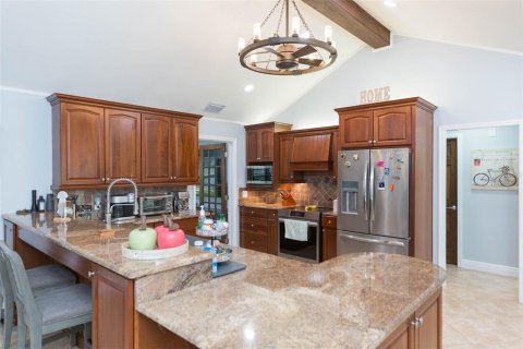 Villa ou maison à vendre à Valrico, Floride: 4 chambres, 230.77 m2 № 2334145 - photo 21