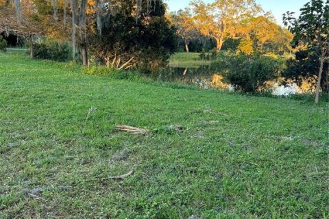 Land in Sebastian, Florida № 1564678 - photo 14