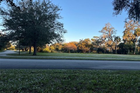 Land in Sebastian, Florida № 1564678 - photo 8