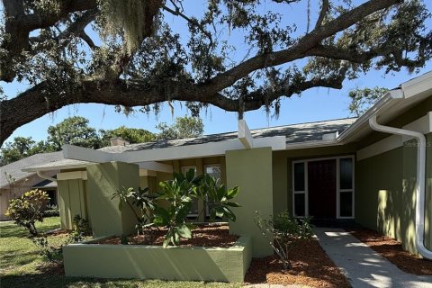 House in Tarpon Springs, Florida 4 bedrooms, 183.76 sq.m. № 1866374 - photo 1