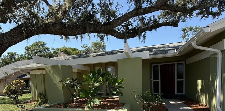 House in Tarpon Springs, Florida 4 bedrooms, 183.76 sq.m. № 1866374