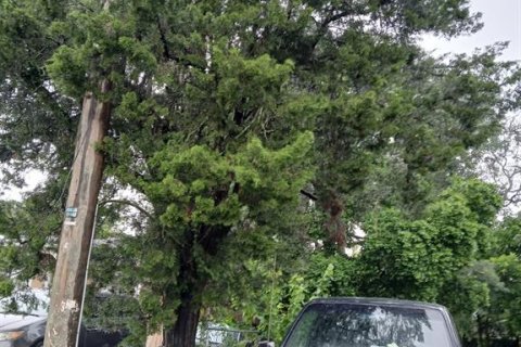 Terreno en venta en Tampa, Florida № 1915893 - foto 3