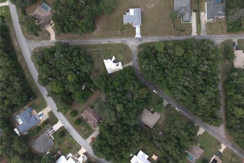 Land in Citrus Springs, Florida № 2164692 - photo 4
