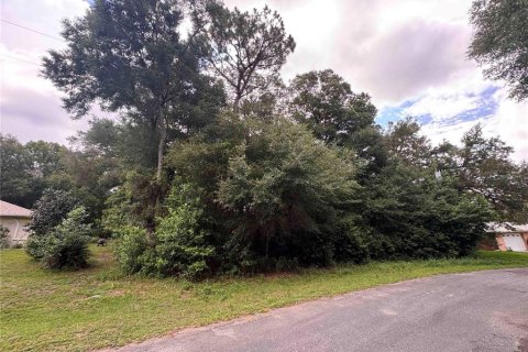 Land in Citrus Springs, Florida № 2164692 - photo 8