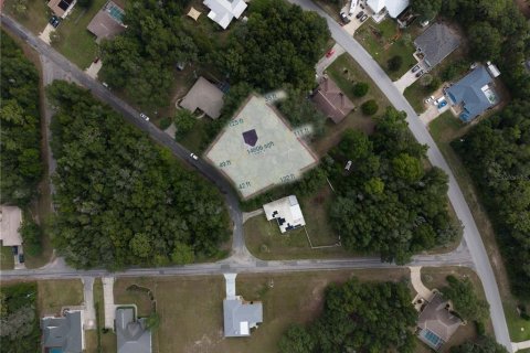 Land in Citrus Springs, Florida № 2164692 - photo 9