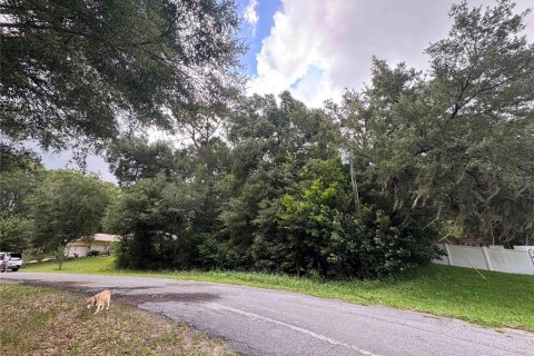 Land in Citrus Springs, Florida № 2164692 - photo 7