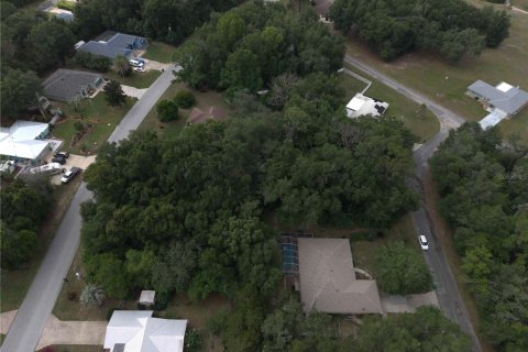 Land in Citrus Springs, Florida № 2164692 - photo 5